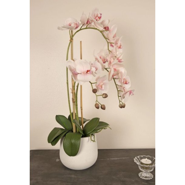 Orkid lyserd, 3 stilke, kunstig i keramikpotte